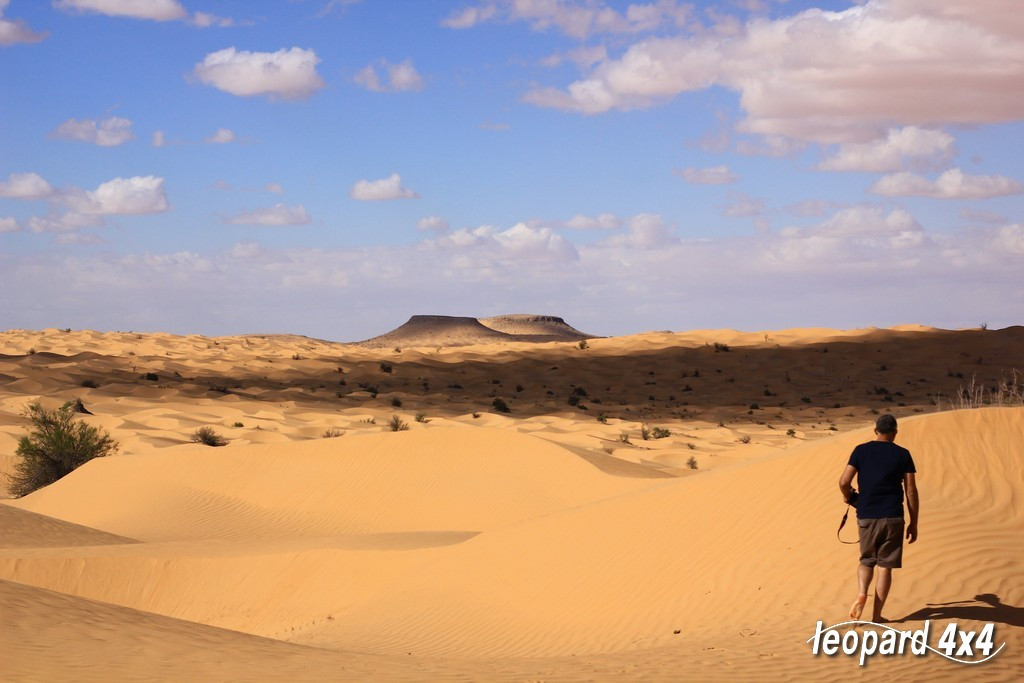 Missione Sahara!! - foto 106
